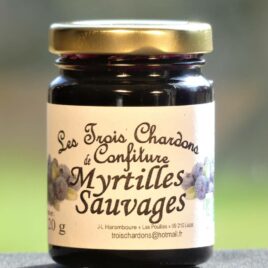 Myrtilles sauvages