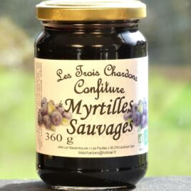 Myrtilles sauvages