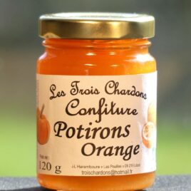 Potiron orange