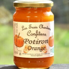 Potiron orange