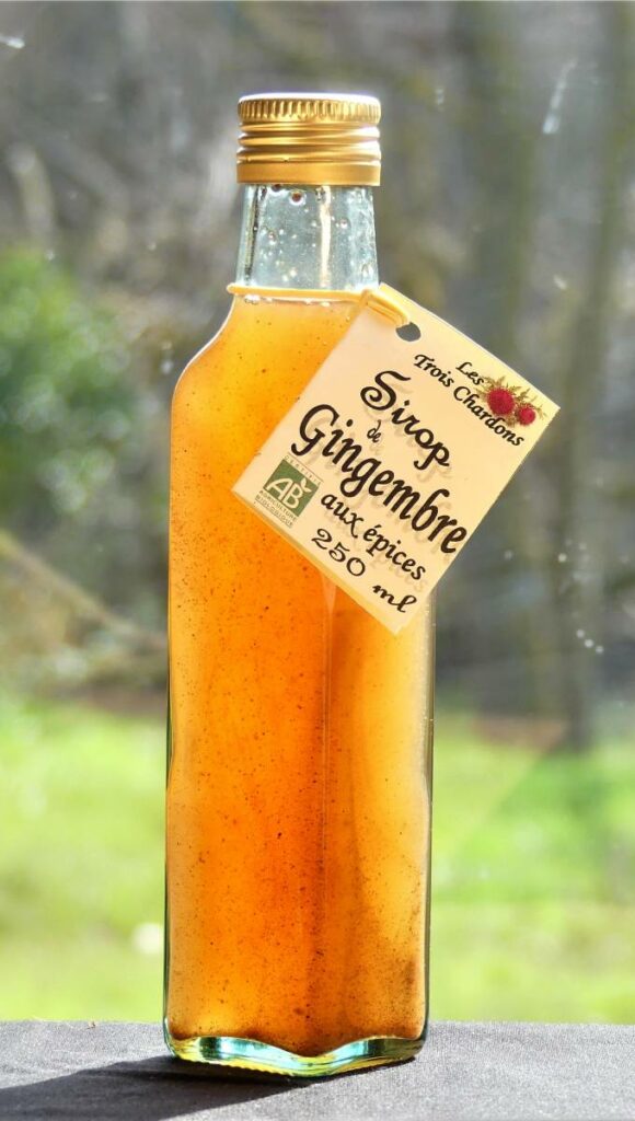 Sirop de Gingembre aux épices - Les Trois Chardons